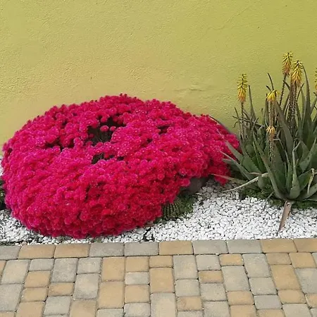 Appartement Nonna Defenza *
